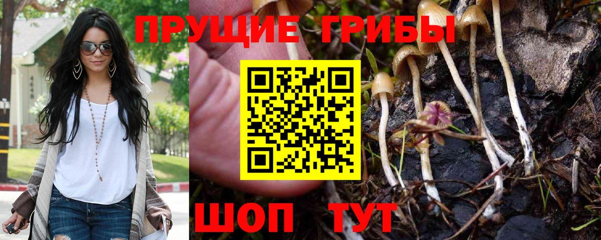 Псилоцибиновые грибы Psilocybe Электросталь