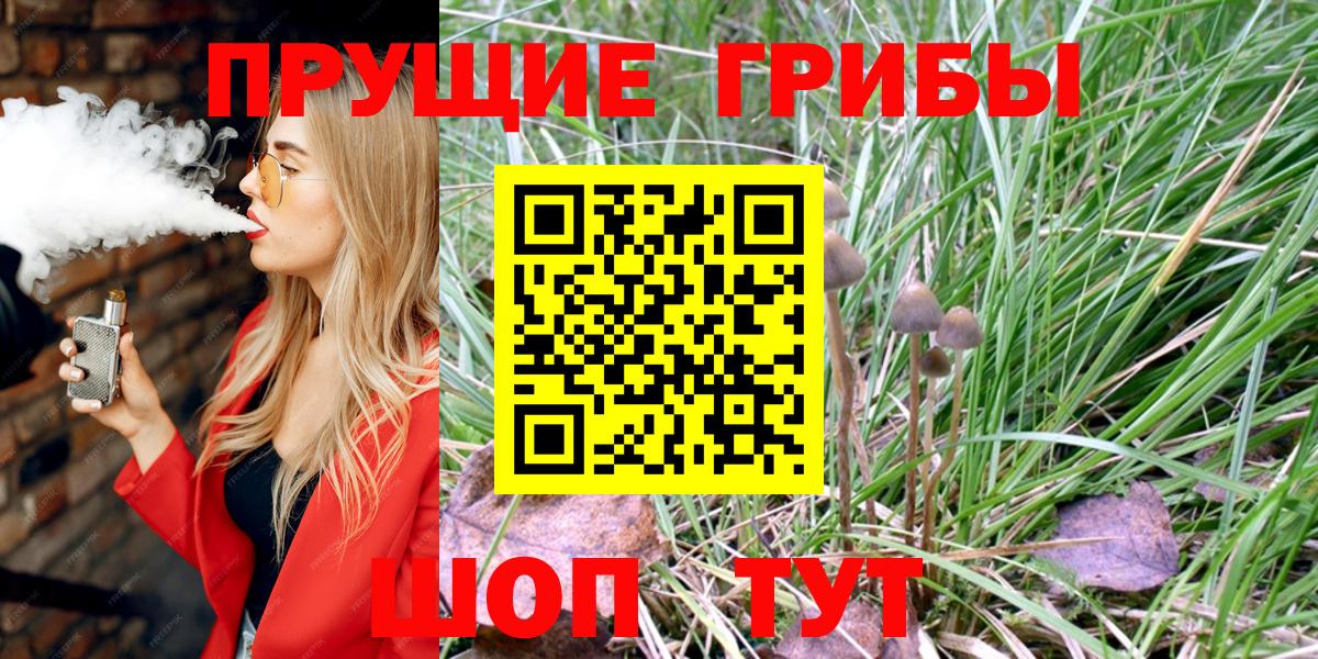 Псилоцибиновые грибы Psilocybine cubensis  Вход с VPN  Электросталь 
