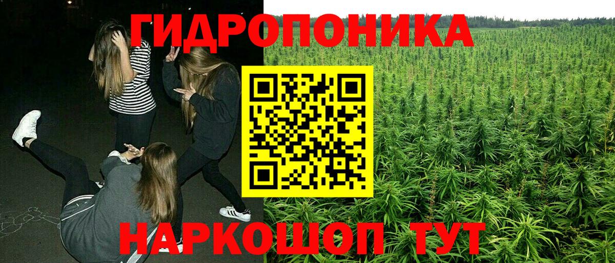 Бошки Шишки индика Электросталь