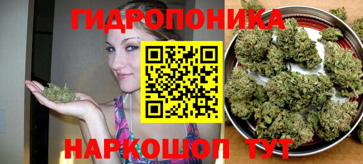 Бошки марихуана тримм  Конопля марихуана  Вход с VPN  Марихуана AK-47  Электросталь  Марихуана Amnesia 